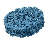 Spacnana Poly Strip Disc 50mm Nylon Paint Remover Grinding Wheel 2 Inch for Car Rust Removal (2 inches blue)