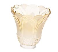 Spactz Ceiling Fan Chandelier Frosted and Clear Glass Light Lamp Shade Replacement