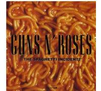 Spaghetti Incident by Guns'n'roses (2011-12-29)