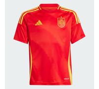 Spain 24 Home Jersey