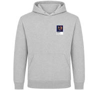 Spain v Netherlands 2010 World Cup Final Icon Frame Men's Hoodie - Gray / S