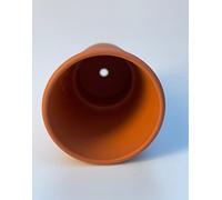 Spang Classic Terracotta Rosen Plant Pots 16cm x 16 cm (ROS16) (1 Pot)