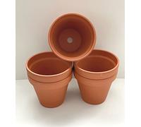 Spang IndoorPlantsParadise Traditional Terracotta Plant Pots 20cm W x 17.5cm H [F20] Pack of 5
