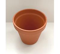 Spang Terracotta Flower Pots 15.5cm diameter x 13.7cm high [F15] (1Pot)