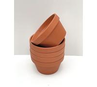 Spang Terracotta Half Pots 13cm diameter x 7.5cm high [HF13] (Pack of 5)