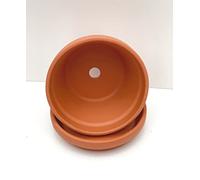 Spang Terracotta Half Pots With Saucers 15.5cm W x 9cm H (HF15/S15) (1 set)