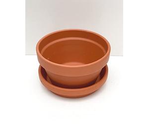 Spang Terracotta Half Pots With Saucers Pack of 3, 5, or 10 (HF13/S13) (1)