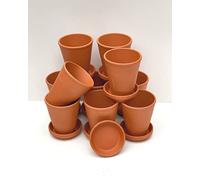 Spang Terracotta Long Tom plant pots 9W X 10H with saucer (9cm) LT9/S9 Pack of 10