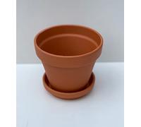 Spang Traditional Terracotta Plant Pots With Saucers - Pot - 13cm W (F13/S11) (1 Set)