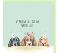 Spaniel Birthday Card, Hand-Painted Watercolour Design, Blank Quality Card 15cm x 15cm