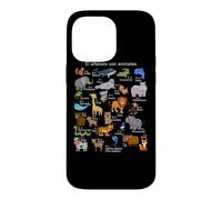 Spanish Animals Alphabet A-Z ABC of the Wildlife Case for iPhone 14 Pro Max