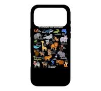 Spanish Animals Alphabet A-Z ABC of the Wildlife Case for iPhone 17 Pro Max