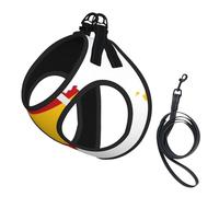 Spanish Flag Map Print Dog Harness Small Sized And Leash Set, Step In Soft Light Puppy Vest Breathable Mesh Pet Harness