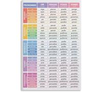 Spanish Language, 24 Irregular Verbs, Conjugation, Tenses, Grammar Chart, Classroom Art Wall Decoration Metal Tin Sign 8x6 Inch