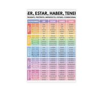 Spanish Language, Ser, Estar, Haber, Tener, Spanish Verb Tenses, Grammar Chart, Spanish Classroom (1) Canvas Poster Wall Art Decor Print Picture Paintings for Living Room Bedroom Decoration 20x30inch(