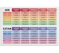Spanish Language Ser Vs Estar Grammar Chart Poster Metal Tin Sign Wall Art Print for Living Room Aesthetic 8"x12"