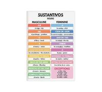 Spanish Nouns Poster Grammar Gender Guide