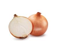 Spanish Onion Size 1 - 22-25kg Bulk Bag, Fresh Premium Onions for Cooking, Baking & Meal Prep