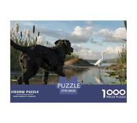 Spanish Water Dog1000 Piece Jigsaw Puzzle for Adultspet Dog Premium Box, Extra Fun Challenges, for Women/Men, Difficult 1000 - Piece Puzzle38x26cm/1000pcs