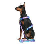Spark Paws Large Dog No-Pull Harness, Halter Design with Front Clip, Durable and Heavy-Duty for Big and Strong Breeds - 90s Retro, S