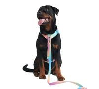 Spark Paws Large Dog No-Pull Harness, Halter Design with Front Clip, Durable and Heavy-Duty for Big and Strong Breeds - Pastel Icing, L