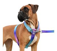 Spark Paws Large Dog No-Pull Harness, Halter Design with Front Clip, Durable and Heavy-Duty for Big and Strong Breeds - 90s Retro, M