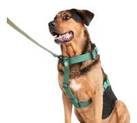 Spark Paws Large Dog No-Pull Harness, Halter Design with Front Clip, Durable and Heavy-Duty for Big and Strong Breeds - Green, L