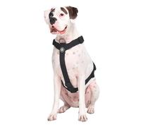Spark Paws Large Dog No-Pull Harness, Halter Design with Front Clip, Durable and Heavy-Duty for Big and Strong Breeds - Black, M