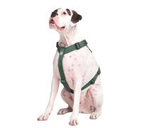 Spark Paws Large Dog No-Pull Harness, Halter Design with Front Clip, Durable and Heavy-Duty for Big and Strong Breeds - Green, M