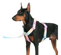 Spark Paws Large Dog No-Pull Harness, Halter Design with Front Clip, Durable and Heavy-Duty for Big and Strong Breeds - Pastel Icing, S