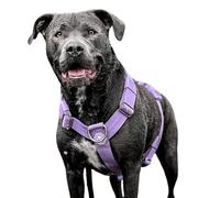 Spark Paws No-Pull Dog Harness - Designed for Safety and Control, Ideal for Large, Strong Breeds - Pitbulls, Boxers - Lilac, L