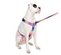 Spark Paws No-Pull Dog Harness - Designed for Safety and Control, Ideal for Large, Strong Breeds - Pitbulls, Boxers - Kaleidoscope, L