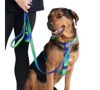 Spark Paws No-Pull Dog Harness - Designed for Safety and Control, Ideal for Large, Strong Breeds - Pitbulls, Boxers - Lime Wave, L