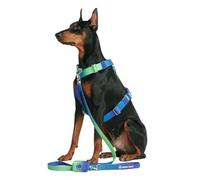 Spark Paws No-Pull Dog Harness - Designed for Safety and Control, Ideal for Large, Strong Breeds - Pitbulls, Boxers - Lime Wave, S