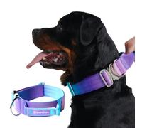 Spark Paws Tactical Dog Collar - Premium Quality Collar, Robust and Durable Design for Large, Strong Breeds - Pitbulls, Boxers - 90s Retro, L