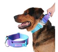 Spark Paws Tactical Dog Collar - Premium Quality Collar, Robust and Durable Design for Large, Strong Breeds - Pitbulls, Boxers - 90s Retro, M