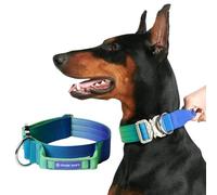 Spark Paws Tactical Dog Collar - Premium Quality Collar, Robust and Durable Design for Large, Strong Breeds - Pitbulls, Boxers - Lime Wave, S