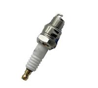 Spark Plug For Spark Plug SP7HIR 2PCS | For W7BC BR7HIX IWF22 W22FPU10 BP7HIX BPR7HIX BP7HS B7HS-10 BR7HS B6HS(IRIDIUM ONE)