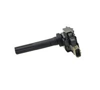 Spark Plug For SUBARU For JUSTY III (G3X) 2003 | 2pcs Ignition Coil 33400-65G00 33410-77E01