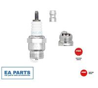 Spark Plug NGK 2144