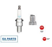 Spark Plug NGK 3194