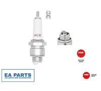 Spark Plug NGK 3710