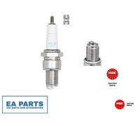 Spark Plug NGK 3988