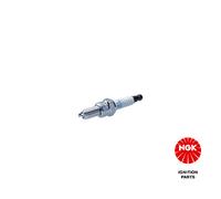 Spark Plug NGK 4948