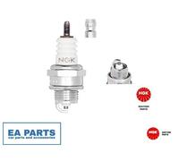 Spark Plug NGK 7021