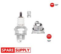 SPARK PLUG NGK 7321