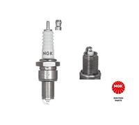 Spark Plugs Set 4x fits BOND NGK Genuine Top Quality Guaranteed New
