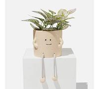 SparkDazzle Smiling Floral Succulent Planter, Cute Face Decorative Pot (4 Inch) with Rope Legs (Natural)