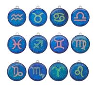Sparkeads 12 Constellation Alloy Epoxy Resin Temperature Sensing Color Changing Flat Round Charms Change Color Zodiac Sign Pendants Glow in The Dark Hanging Dangles for DIY Crafts Jewelry Making 12pcs