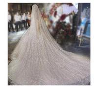 Sparkle Cathedral Wedding Veils Long 3 Meters Shiny Sparkling Bridal Veil With Comb Bride Accessories Wedding (Color : Champagne, Size : 500cm)